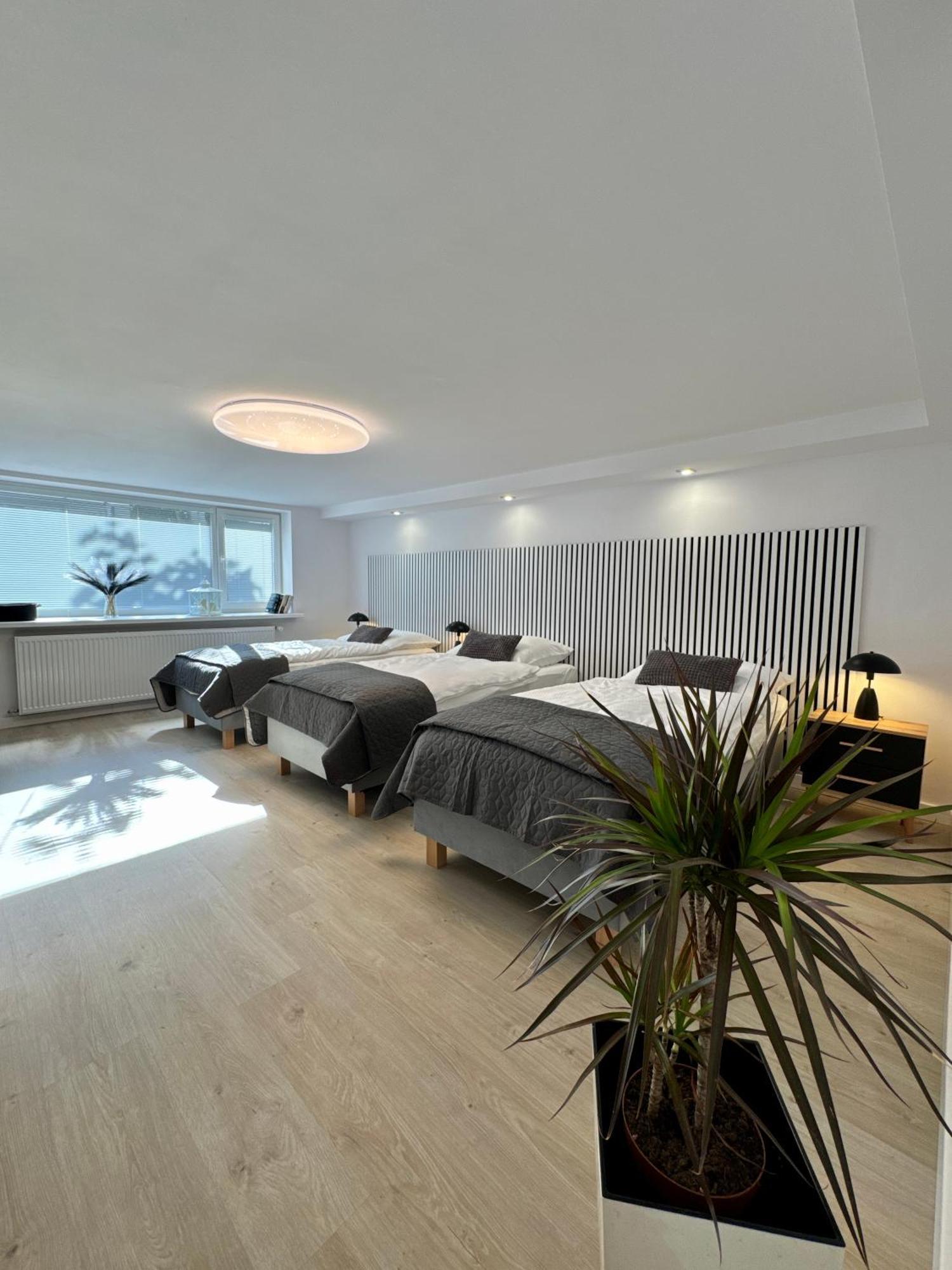 Apartamenty Oracka 博赫尼亚 外观 照片